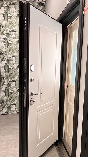 Входная дверь  